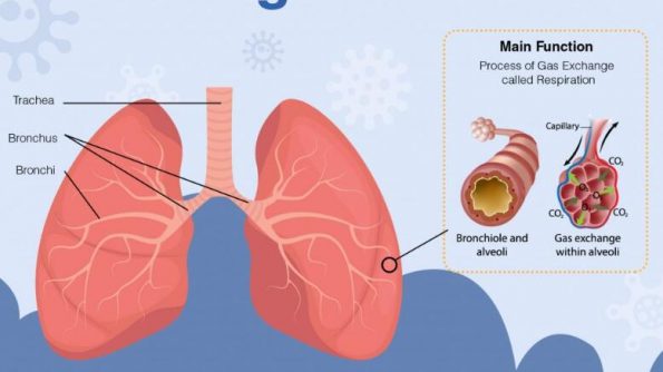 肺癌：原因、症状和治疗插图