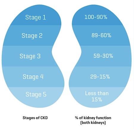 筛查成人慢性肾病(CKD)可能具有成本效益插图
