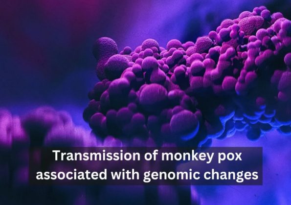 猴痘的传播与基因组变化有关插图